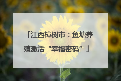江西樟树市：鱼塘养殖激活“幸福密码”