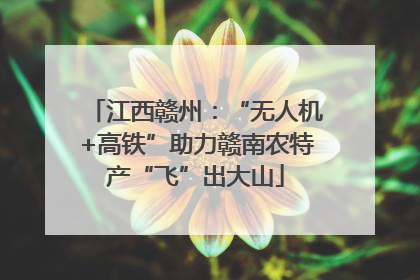 江西赣州：“无人机+高铁”助力赣南农特产“飞”出大山