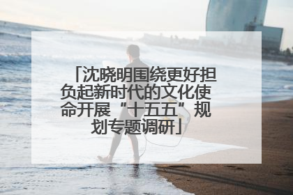 沈晓明围绕更好担负起新时代的文化使命开展“十五五”规划专题调研
