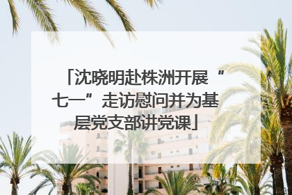 沈晓明赴株洲开展“七一”走访慰问并为基层党支部讲党课