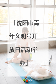 沈阳市青年文明号开放日活动举办