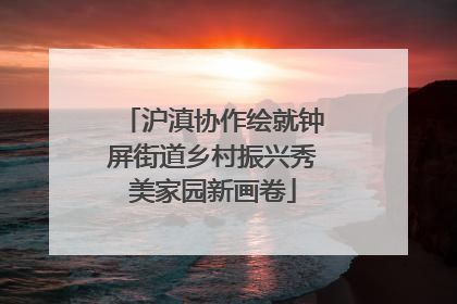 沪滇协作绘就钟屏街道乡村振兴秀美家园新画卷