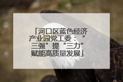 河口区蓝色经济产业园党工委：“三强”提“三力”赋能高质量发展