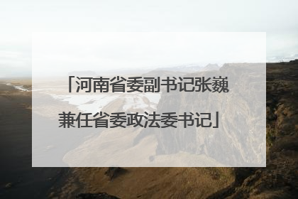 河南省委副书记张巍兼任省委政法委书记