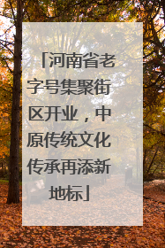 河南省老字号集聚街区开业，中原传统文化传承再添新地标