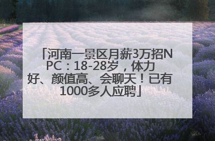 河南一景区月薪3万招NPC：18-28岁，体力好、颜值高、会聊天！已有1000多人应聘