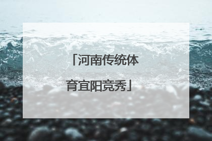 河南传统体育宜阳竞秀