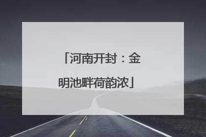 河南开封：金明池畔荷韵浓