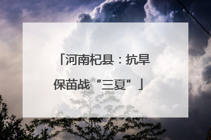 河南杞县：抗旱保苗战“三夏”
