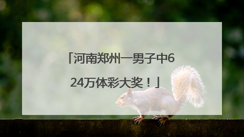 河南郑州一男子中624万体彩大奖！