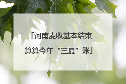 河南麦收基本结束 算算今年“三夏”账