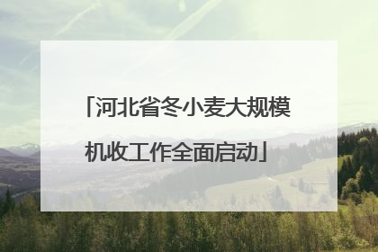河北省冬小麦大规模机收工作全面启动