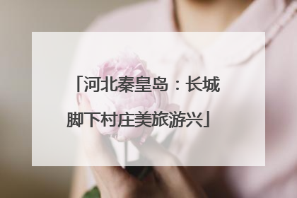河北秦皇岛：长城脚下村庄美旅游兴