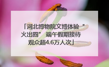 河北博物院文博体验“火出圈” 端午假期接待观众超4.6万人次