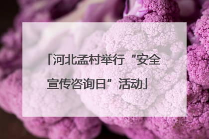 河北孟村举行“安全宣传咨询日”活动