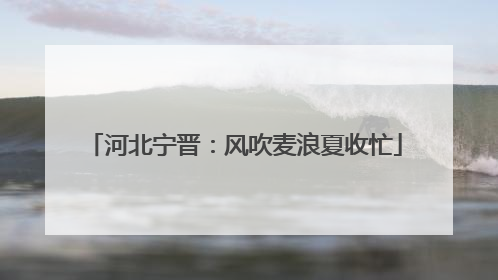 河北宁晋：风吹麦浪夏收忙