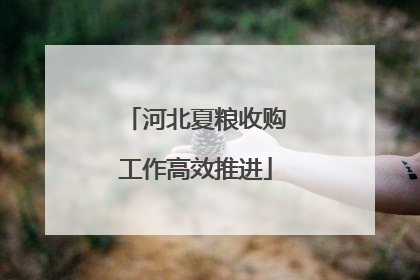 河北夏粮收购工作高效推进