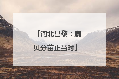 河北昌黎：扇贝分苗正当时