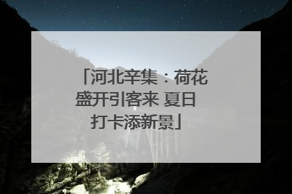 河北辛集：荷花盛开引客来 夏日打卡添新景