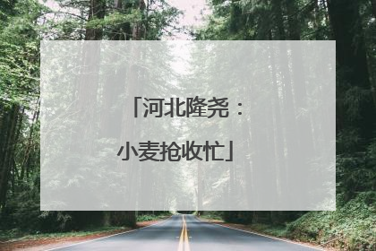 河北隆尧：小麦抢收忙