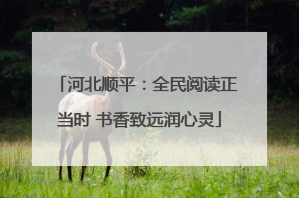 河北顺平：全民阅读正当时 书香致远润心灵