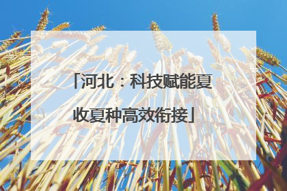 河北：科技赋能夏收夏种高效衔接