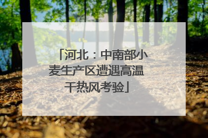 河北：中南部小麦生产区遭遇高温干热风考验