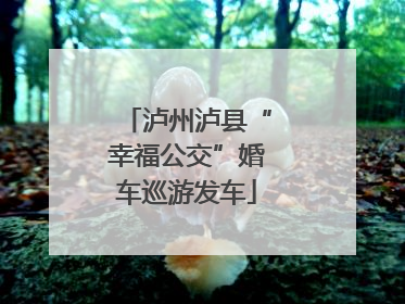 泸州泸县“幸福公交”婚车巡游发车