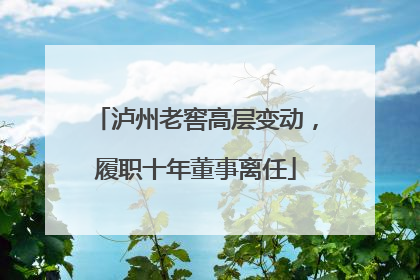 泸州老窖高层变动，履职十年董事离任