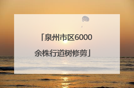 泉州市区6000余株行道树修剪