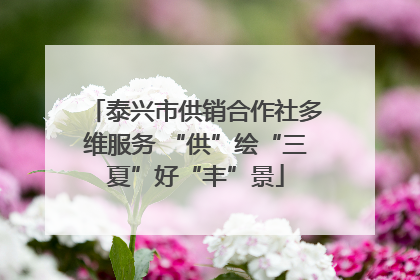 泰兴市供销合作社多维服务 “供”绘“三夏”好“丰”景