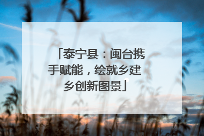 泰宁县：闽台携手赋能，绘就乡建乡创新图景