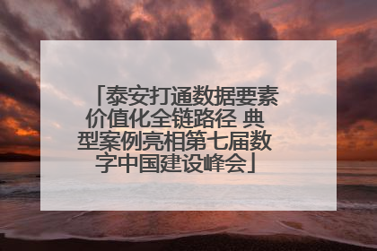泰安打通数据要素价值化全链路径 典型案例亮相第七届数字中国建设峰会