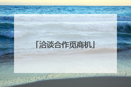 洽谈合作觅商机