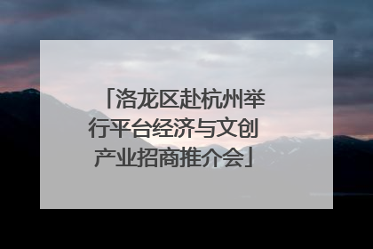 洛龙区赴杭州举行平台经济与文创产业招商推介会