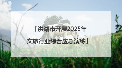 洪湖市开展2025年文旅行业综合应急演练