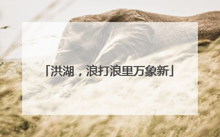 洪湖，浪打浪里万象新