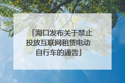 海口发布关于禁止投放互联网租赁电动自行车的通告