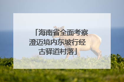 海南省全面考察澄迈境内东坡行经古驿道村落
