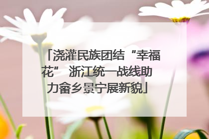 浇灌民族团结“幸福花” 浙江统一战线助力畲乡景宁展新貌