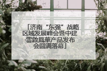 济南“东强”战略区域发展峰会暨中建·雲啟鳳華产品发布会圆满落幕