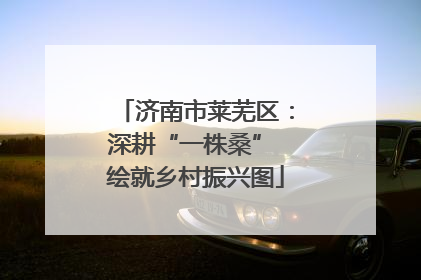 济南市莱芜区：深耕“一株桑” 绘就乡村振兴图