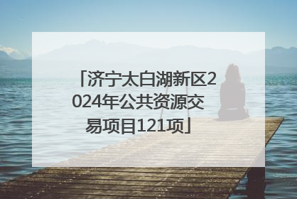 济宁太白湖新区2024年公共资源交易项目121项
