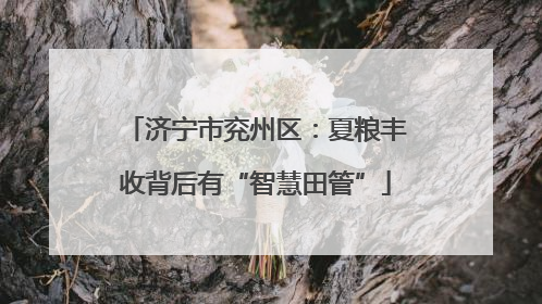 济宁市兖州区：夏粮丰收背后有“智慧田管”