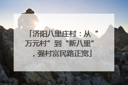 济阳八里庄村：从“万元村”到“新八里”，强村富民路正宽