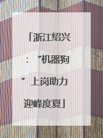 浙江绍兴：“机器狗”上岗助力迎峰度夏