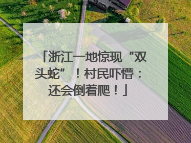 浙江一地惊现“双头蛇”！村民吓懵：还会倒着爬！