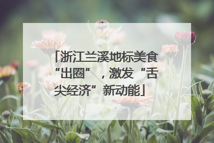 浙江兰溪地标美食“出圈”，激发“舌尖经济”新动能