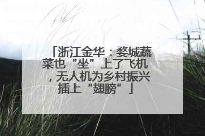 浙江金华：婺城蔬菜也“坐”上了飞机，无人机为乡村振兴插上“翅膀”
