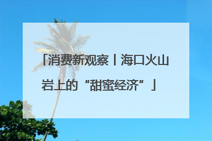 消费新观察丨海口火山岩上的“甜蜜经济”